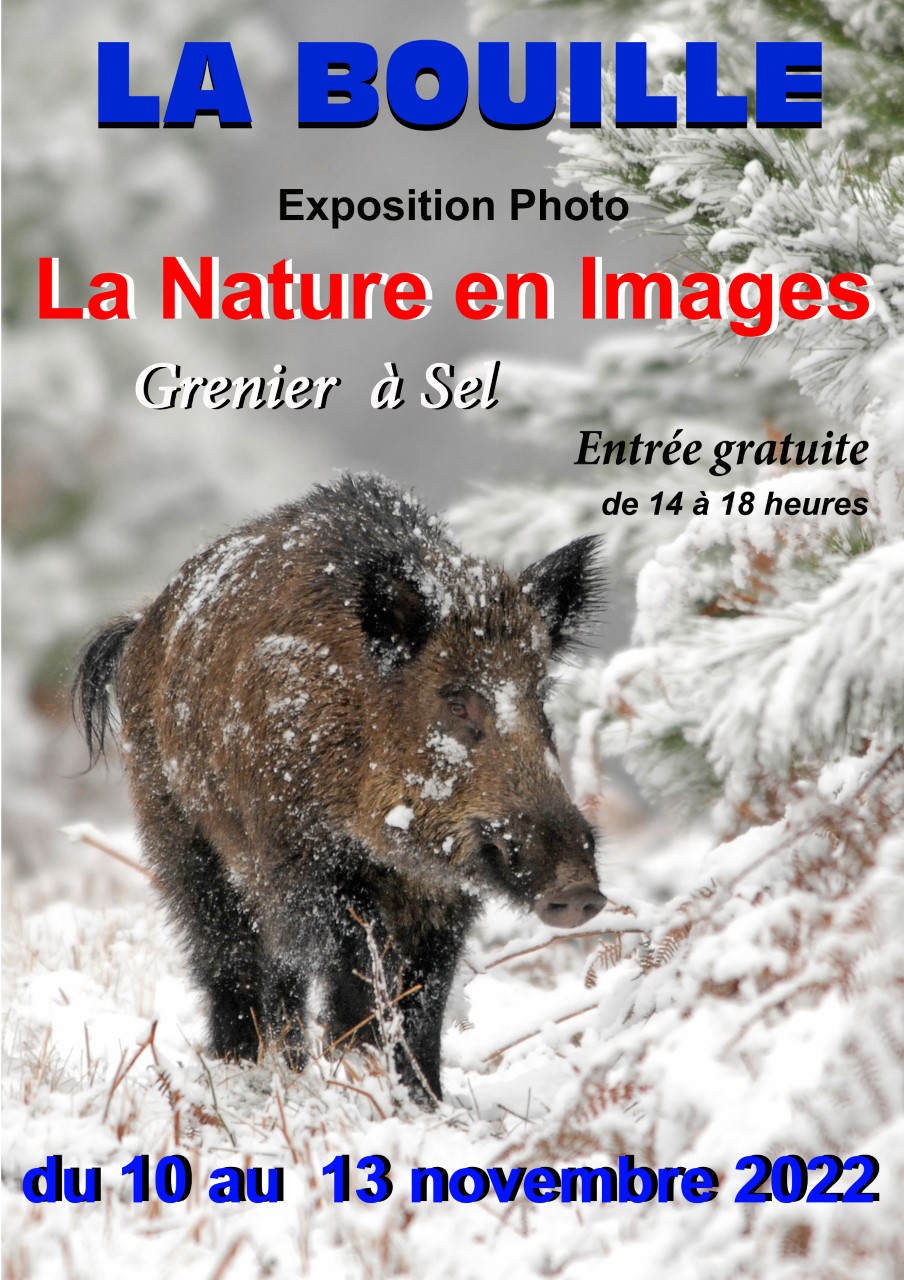 Affiche 2022
