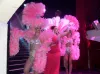 Cabaret l'Etoile