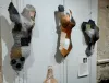 Oeuvre de Nicole Deperrois Gouard