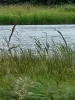 En Baie de Somme