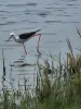 En Baie de Somme